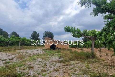 Masia a Les Useras, Castellon, Les Useras - € 140.000 | Ref: 874 - foto 6